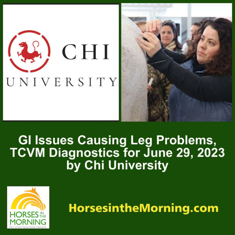 GI Issues Causing Leg Problems, TCVM Diagnostics for June 29, 2023 by Chi University