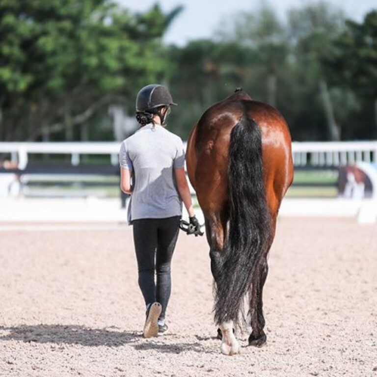 Finding The Balance In Everything