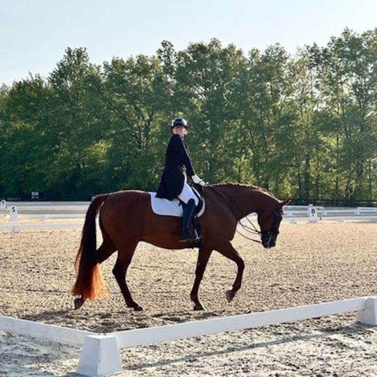 Bridle Fitting, International Competition Rides, and a Beautiful Sentiment for Training