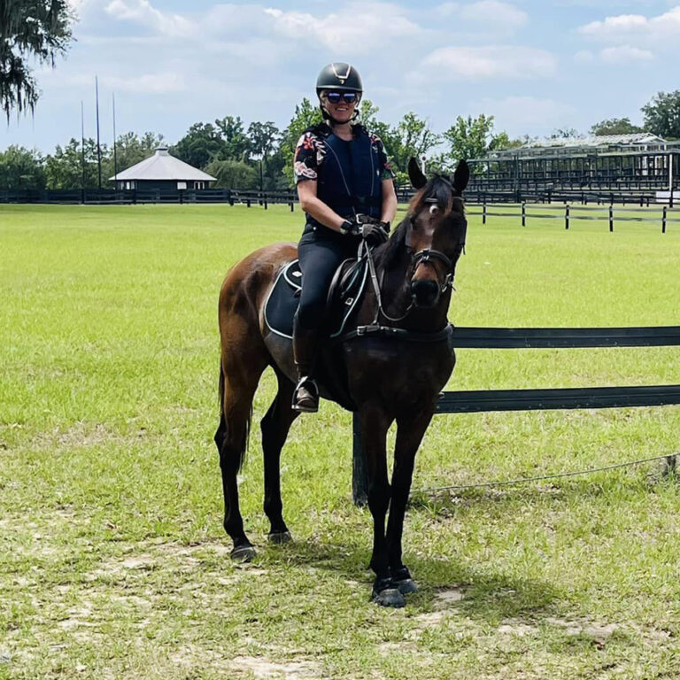Retired Racehorses & Tasty Drinks