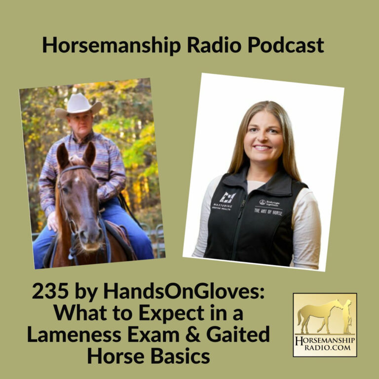 235 by HandsOnGloves: What to Expect in a Lameness Exam & Gaited Horse Basics