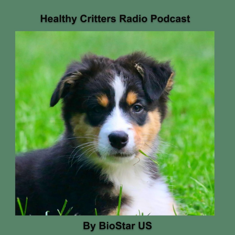 182: Bats, Puppies, and Porcupines by BioStar US