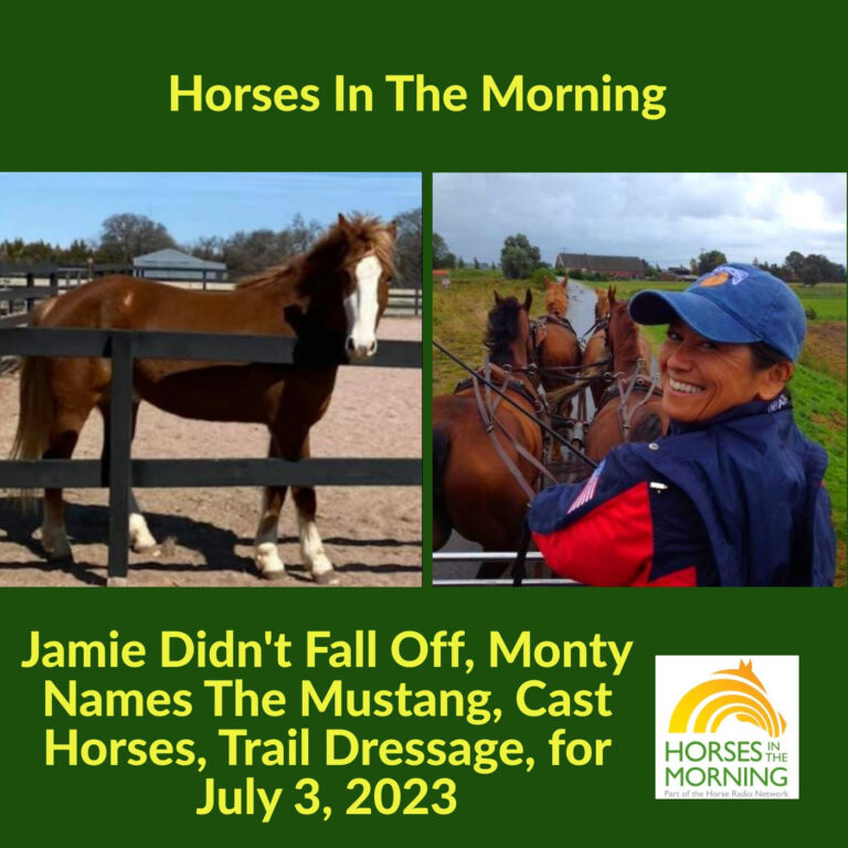 Jamie Didn’t Fall Off, Monty Names The Mustang, Cast Horses, Trail Dressage, for July 3, 2023