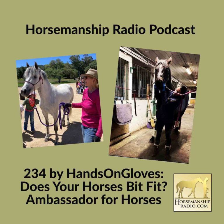 234 by HandsOnGloves: Ambassador for Horses & Does Your Horses Bit Fit?