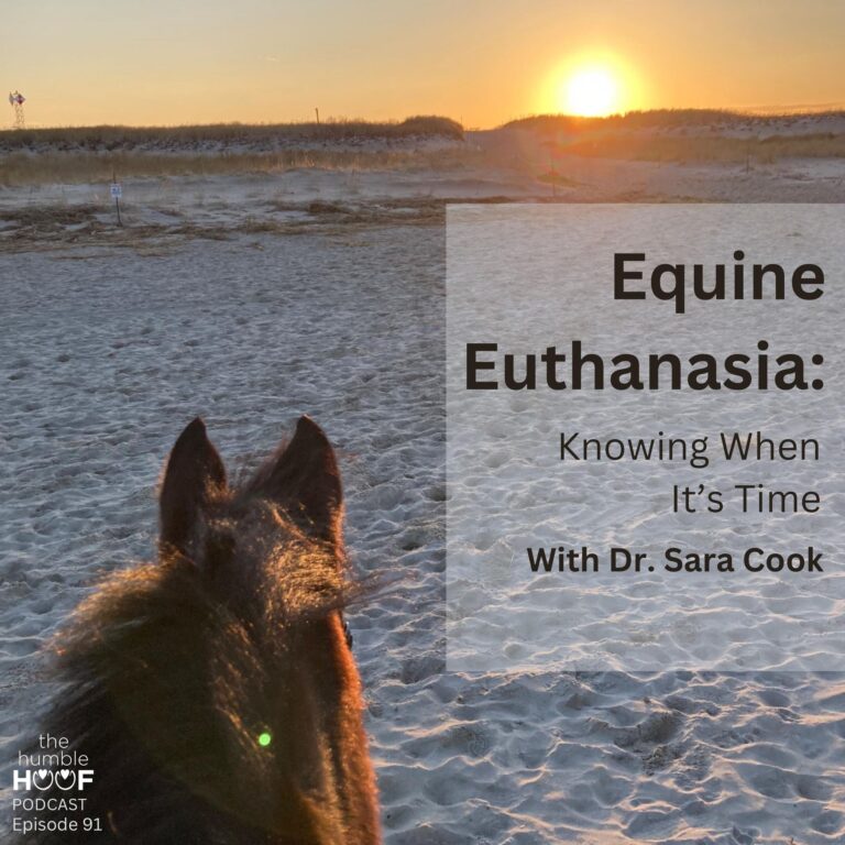 Equine Euthanasia: Knowing When It’s Time with Dr