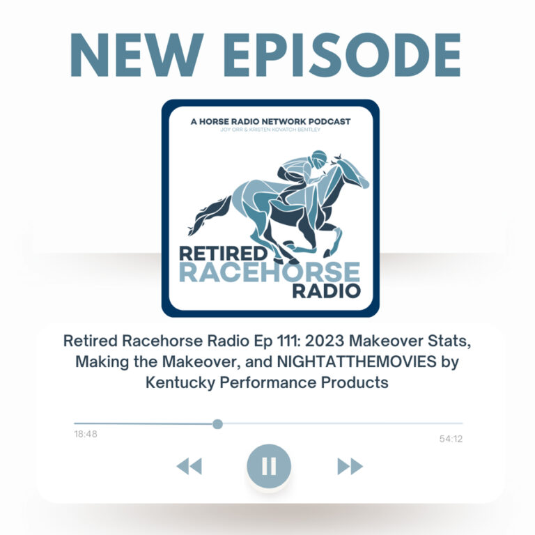 2023 Makeover Stats, Making the Makeover, and NIGHTATTHEMOVIES by Kentucky Performance Products