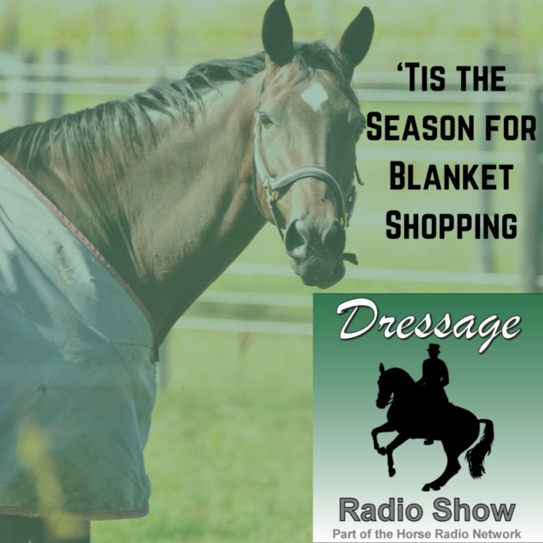 ‘Tis the Season for Blanket Shopping