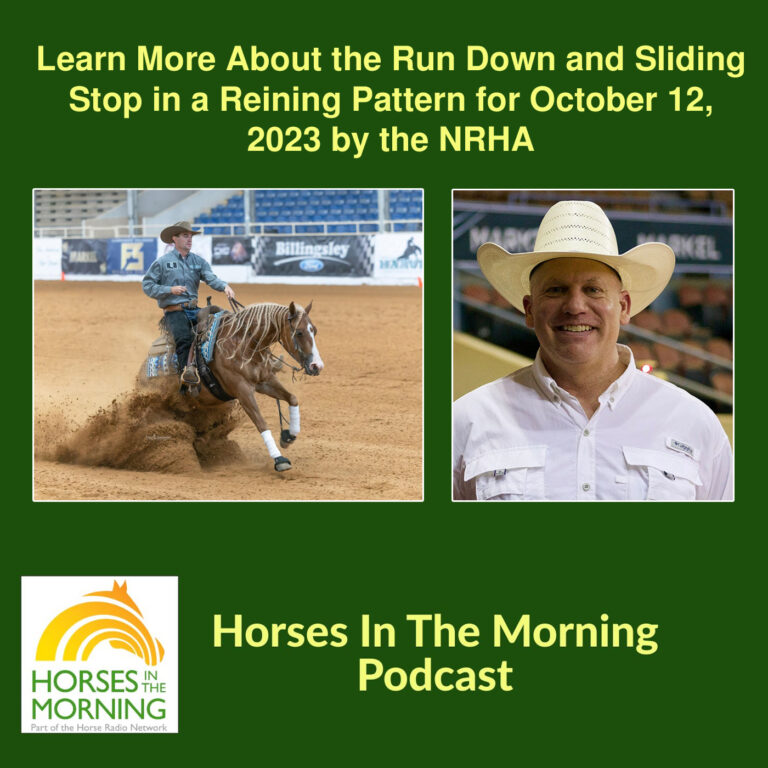 Learn More About the Run Down and Sliding Stop in a Reining Pattern for October 12, 2023 by the NRHA