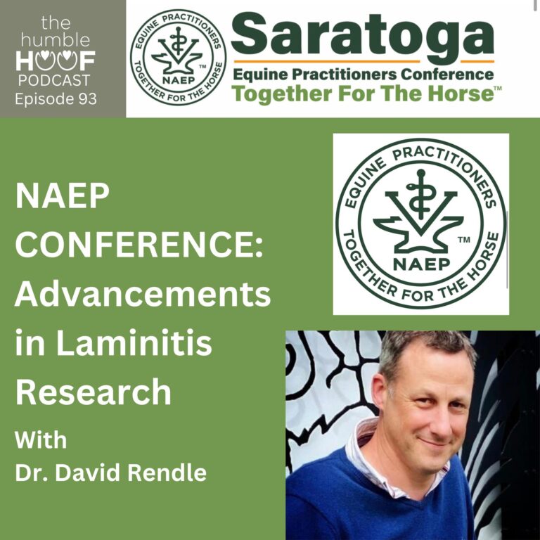 Advancements in Laminitis Research with Dr