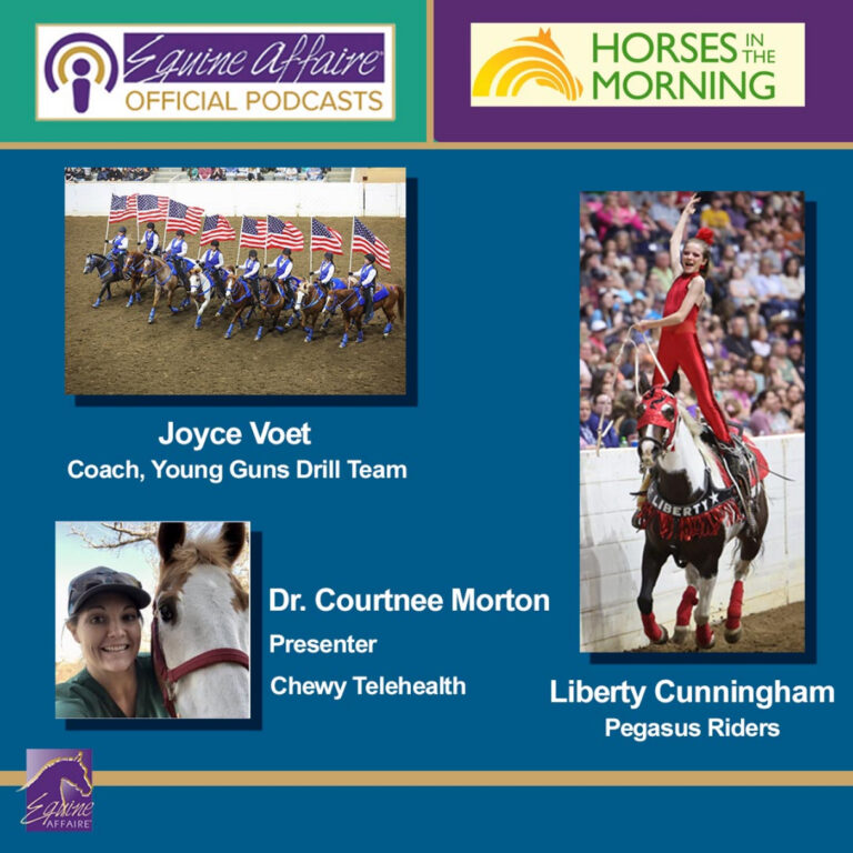 Drill Team, Pegasus Riders and Televets at Equine Affaire for October 19, 2023