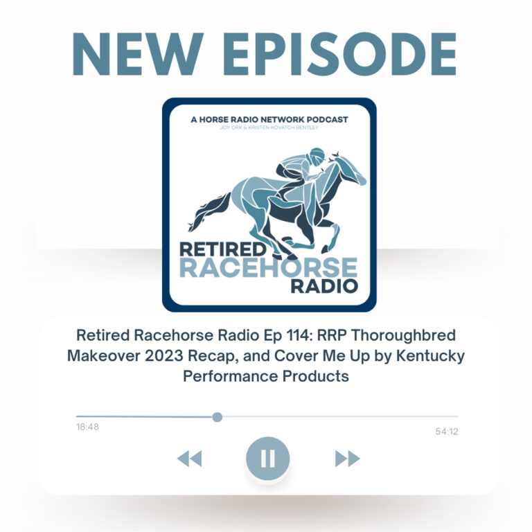 RRP Thoroughbred Makeover 2023 Recap, and Cover Me Up by Kentucky Performance Products