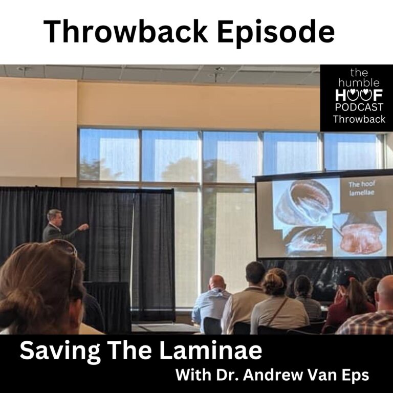 Throwback Episode: Saving the Laminae, Sponsored by Equithrive