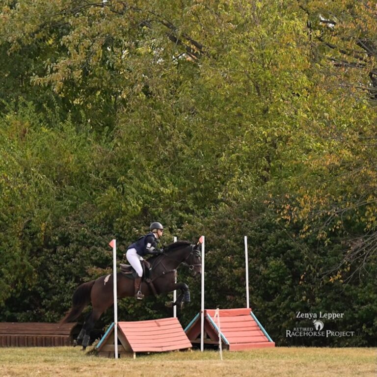 Mission Accomplished