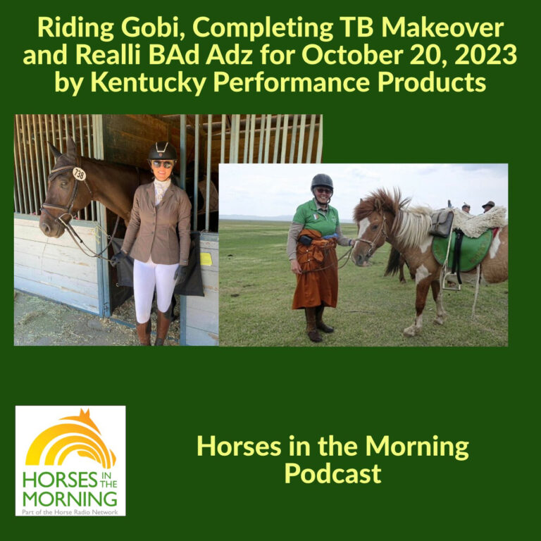 [Aggregator] Downloaded image for imported item #293188