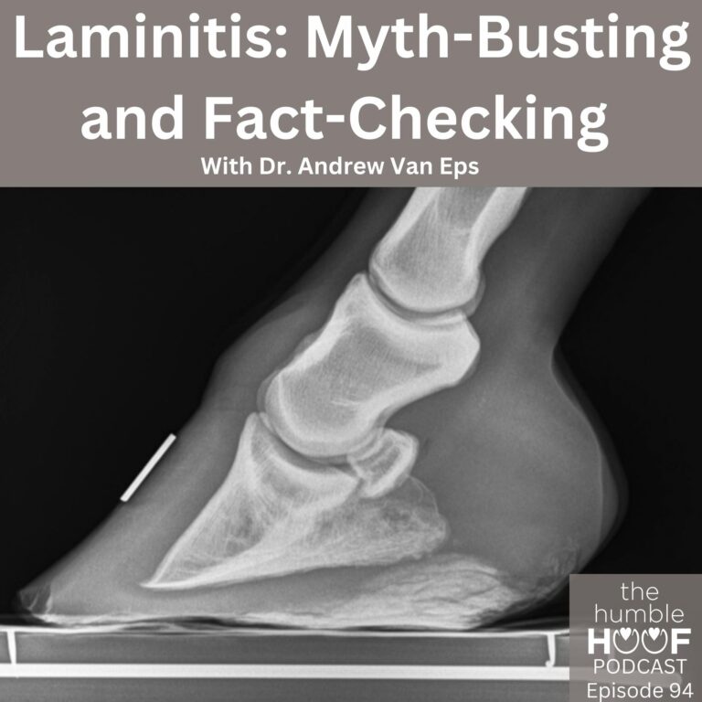 Laminitis: Myth-Busting and Fact-Checking with Dr