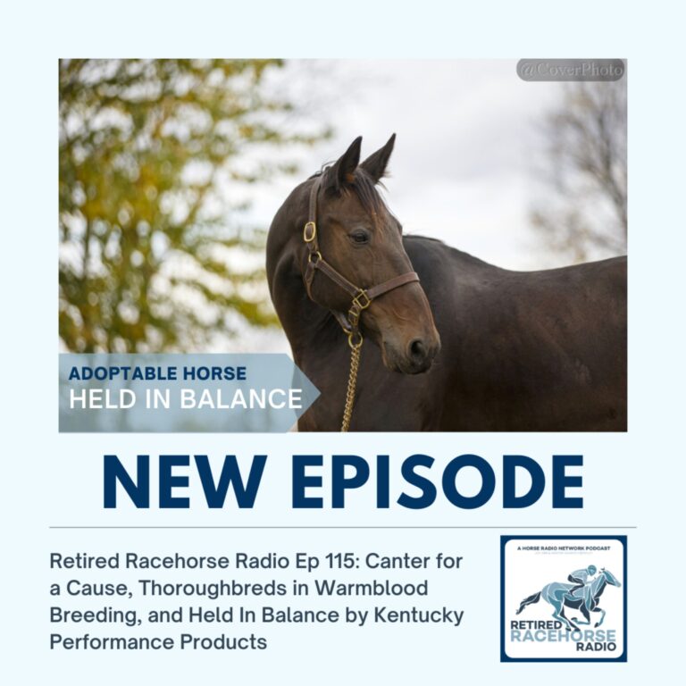Canter for a Cause, Thoroughbreds in Warmblood Breeding, and Held In Balance by Kentucky Performance Products