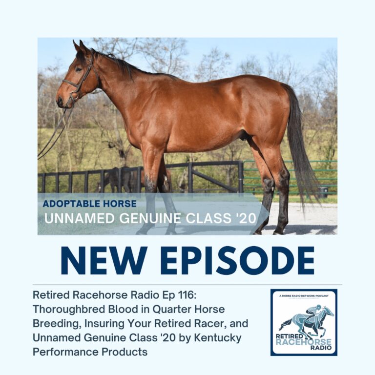 Thoroughbred Blood in Quarter Horse Breeding, Insuring Your Retired Racer, and Unnamed Genuine Class ’20 by Kentucky Performance Products
