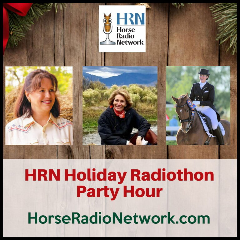 Radiothon 2023 Hour 6 – Party Hour – HORSES IN THE MORNING