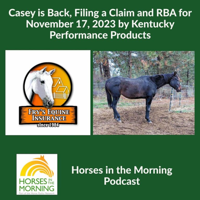 [Aggregator] Downloaded image for imported item #293165