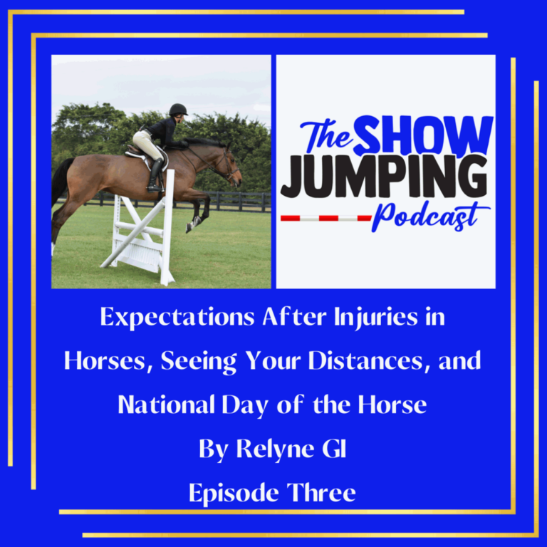 Expectations After Injuries in Horses, Seeing Your Distances, and National Day of the Horse by Relyne GI