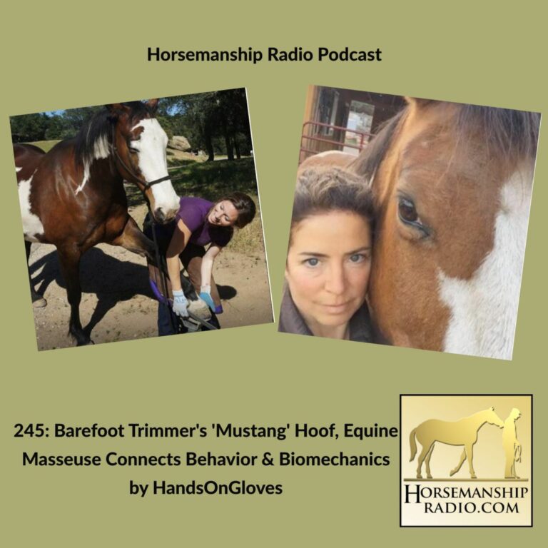 245: Barefoot Trimmer’s ‘Mustang’ Hoof & Equine Masseuse Connects Behavior and Biomechanics, by HandsOnGloves