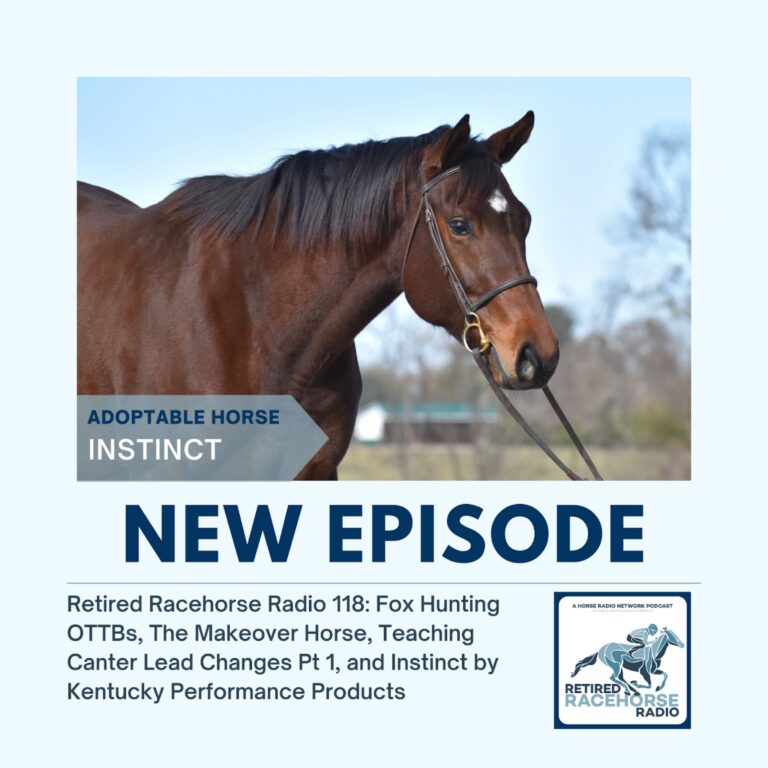 Fox Hunting OTTBs, The Makeover Horse, Teaching Canter Lead Changes Pt 1, and Instinct by Kentucky Performance Products