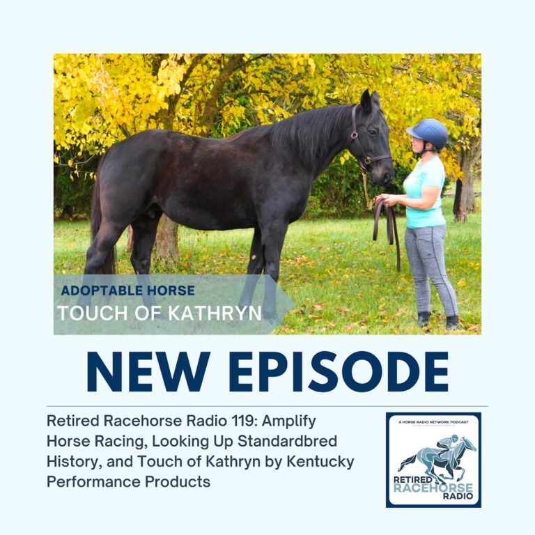 Amplify Horse Racing, Looking Up Standardbred History, and Touch of Kathryn by Kentucky Performance Products