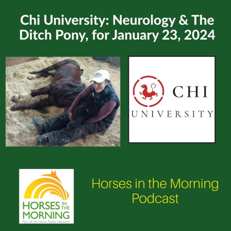Chi University: Neurology & The Ditch Pony, for January 23, 2024