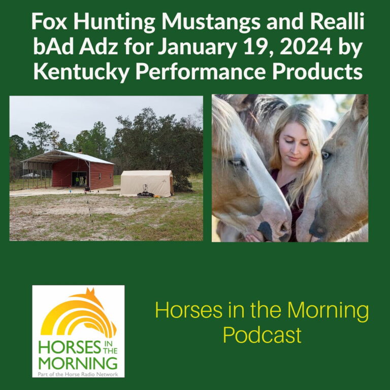 [Aggregator] Downloaded image for imported item #293113