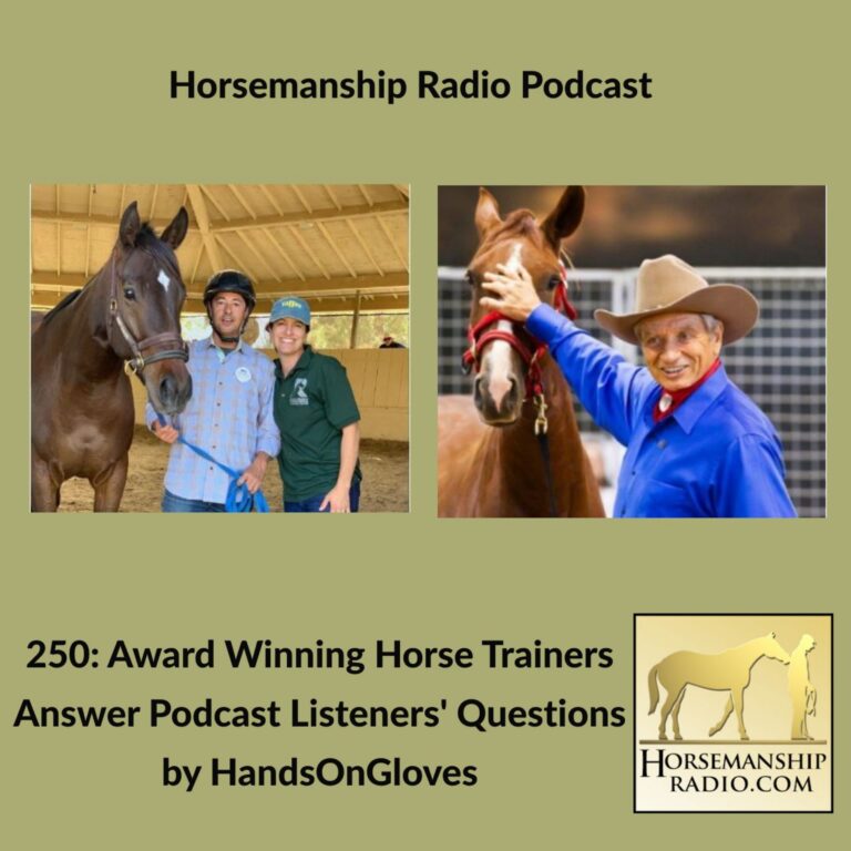 250: Award Winning Horse Trainers Answer Podcast Listeners’ Questions by HandsOnGloves