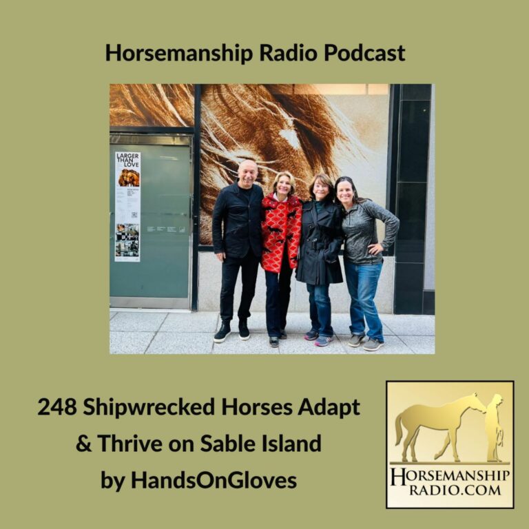 248 Shipwrecked Horses Adapt & Thrive on Sable Island, by HandsOnGloves