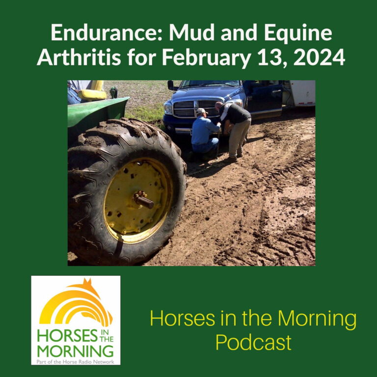 Endurance: Mud and Equine Arthritis for February 13, 2024