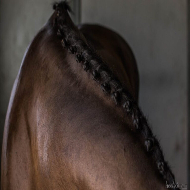 To Braid Or Not To Braid