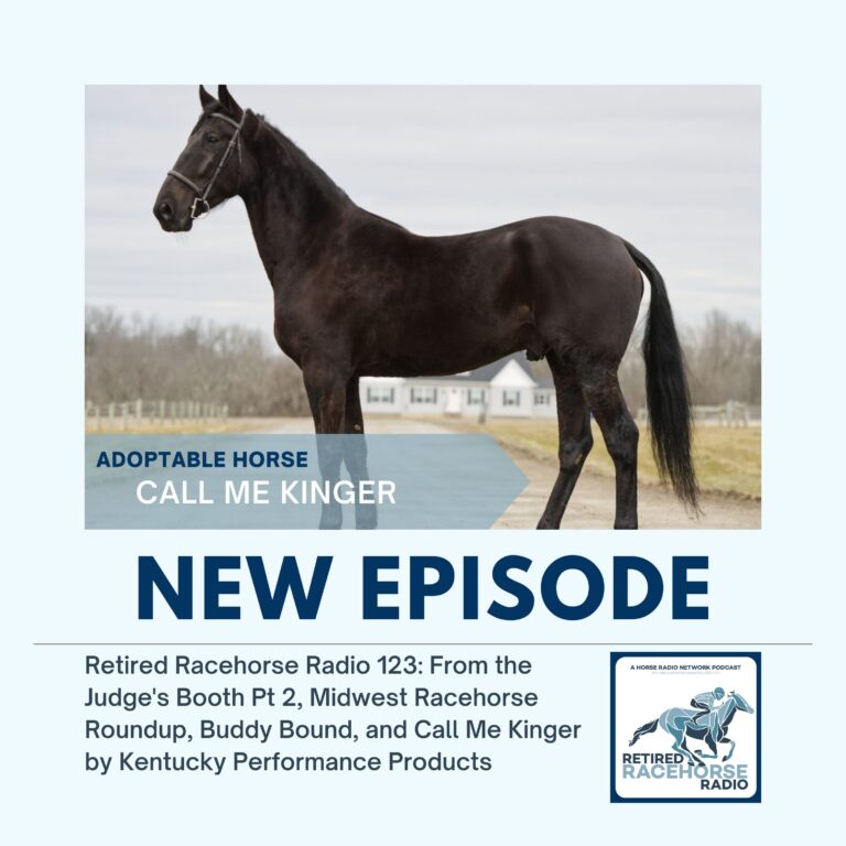 From the Judge’s Booth Pt 2, Midwest Racehorse Roundup, Buddy Bound, and Call Me Kinger by Kentucky Performance Products