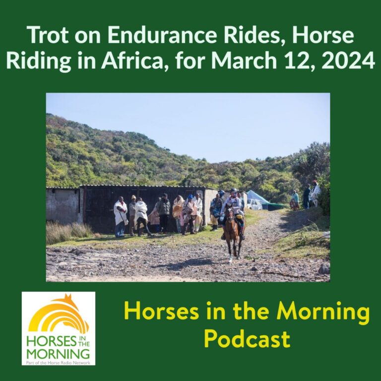 Trot on Endurance Rides, Horse Riding in Africa, for March 12, 2024