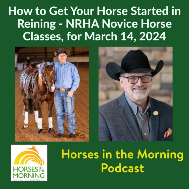 How to Get Your Horse Started in Reining – NRHA Novice Horse Classes, for March 14, 2024 – HORSES IN THE MORNING