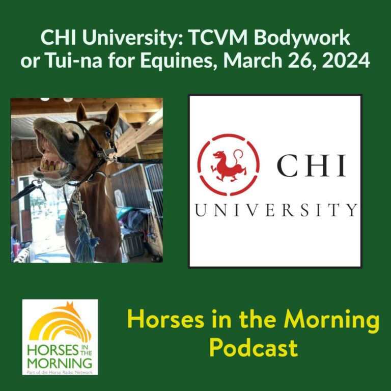 CHI University: TCVM Tui-na or Bodywork for Equines, for March 26, 2024 – HORSES IN THE MORNING