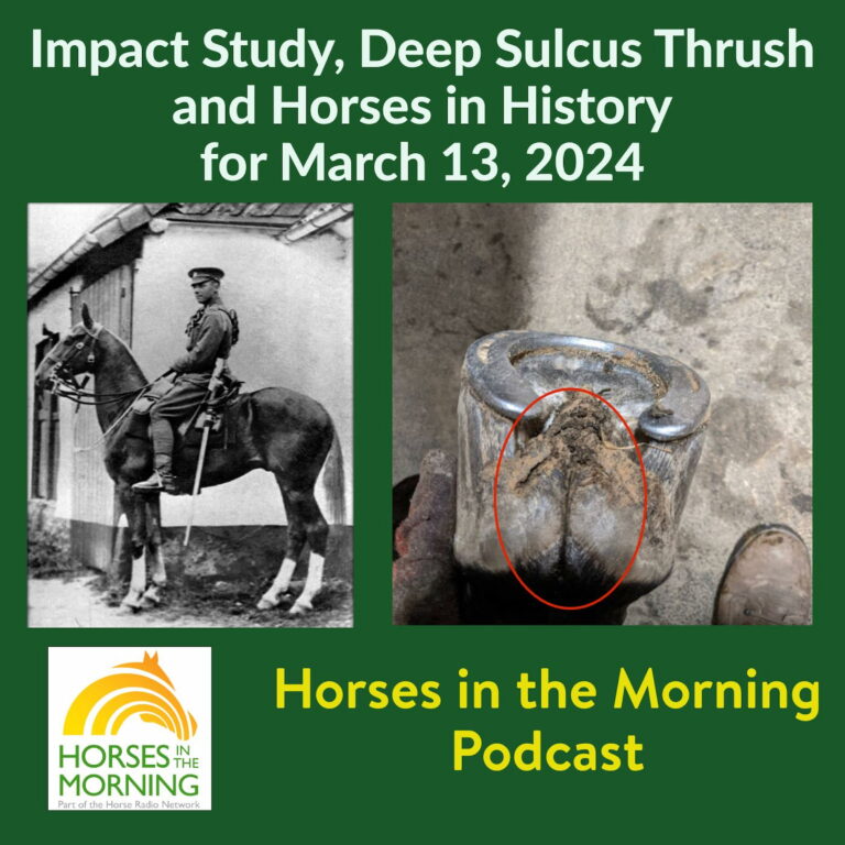 [Aggregator] Downloaded image for imported item #293070