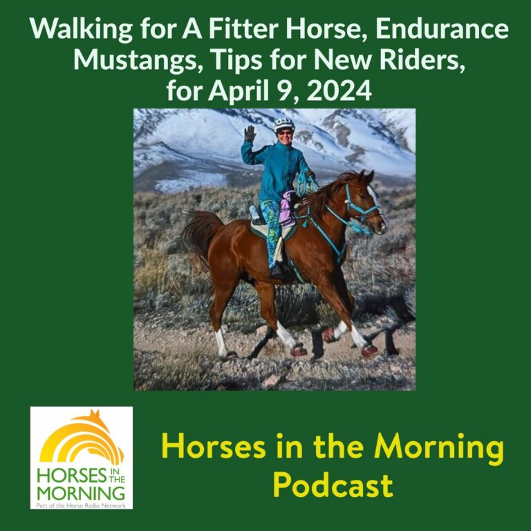 Walking for A Fitter Horse, Endurance Mustangs, Tips for New Riders, for April 9, 2024