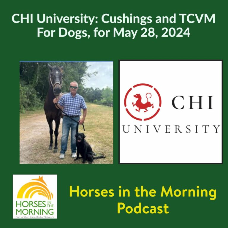 CHI University:  Cushings and TCVM For Dogs, for May 28, 2024 – HORSES IN THE MORNING