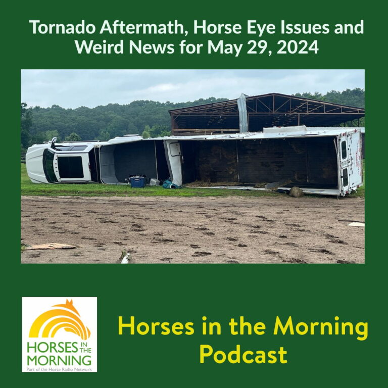 [Aggregator] Downloaded image for imported item #293014