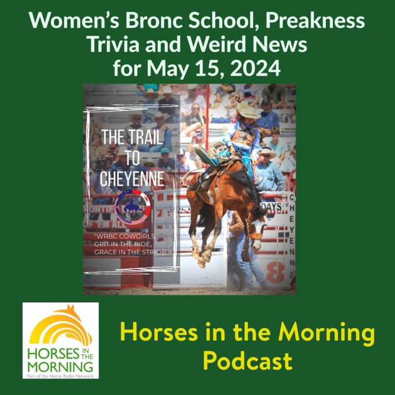 [Aggregator] Downloaded image for imported item #293022