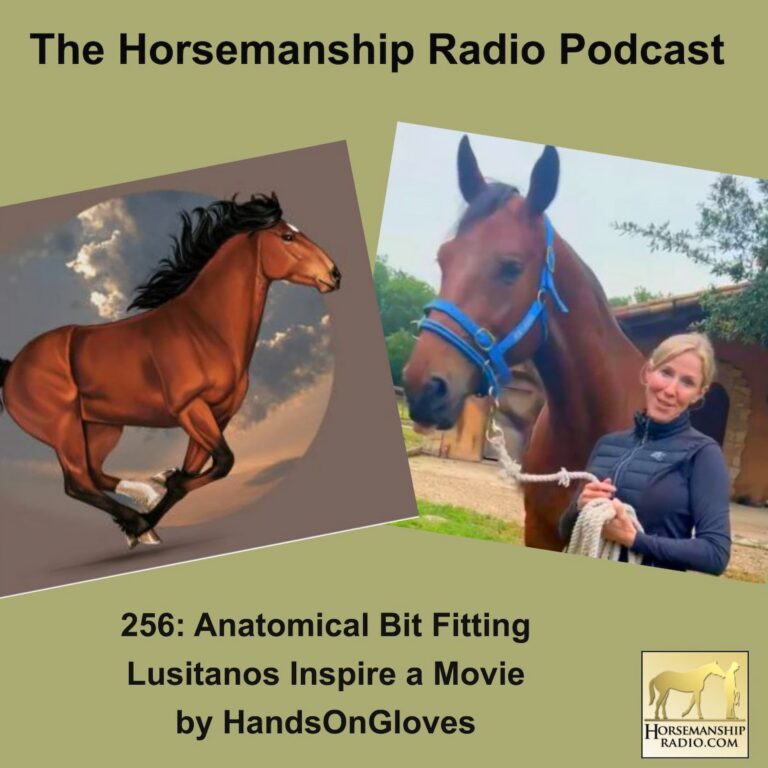 256: Does Your Horse’s Tack Really Fit?, Lusitanos Inspire a Movie by HandsOnGloves