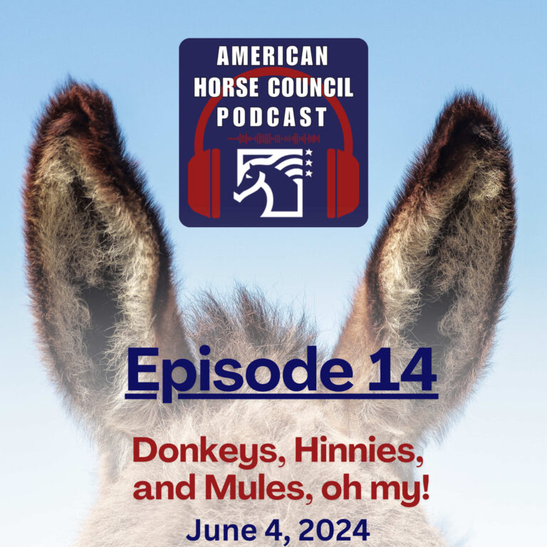 Donkeys, Hinnies, and Mules – Oh My! for June 4th, 2024 by The American Horse Council – HORSES IN THE MORNING