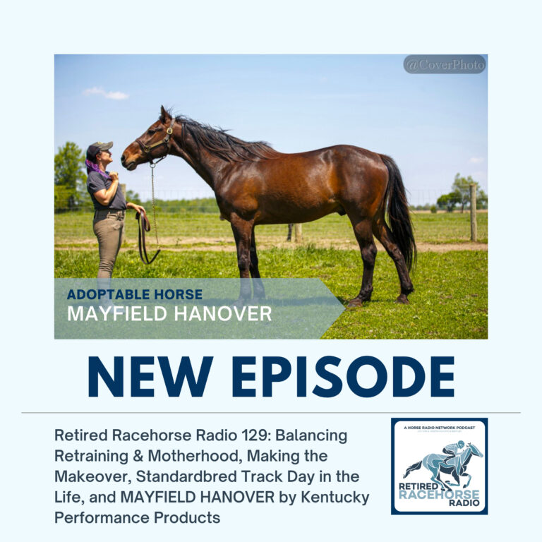 Balancing Retraining & Motherhood, Making the Makeover, Standardbred Track Day in the Life, and MAYFIELD HANOVER by Kentucky Performance Products