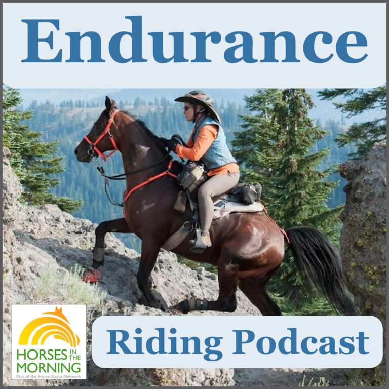 Revisit:  Living on the Road With Horses, Friesian Rocks the LD Rides: Endurance Day for Nov 10, 2020