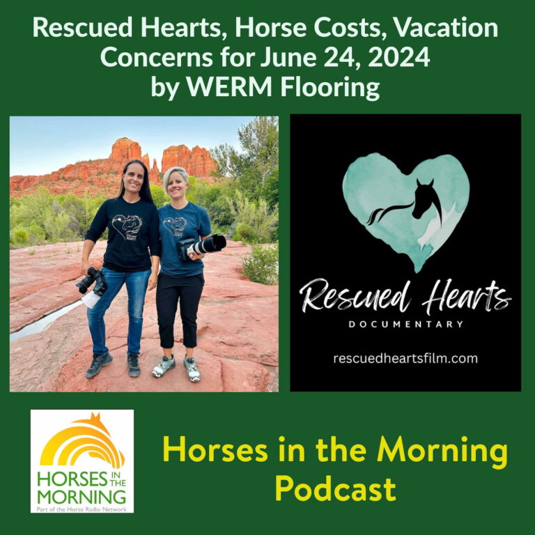 [Aggregator] Downloaded image for imported item #292804