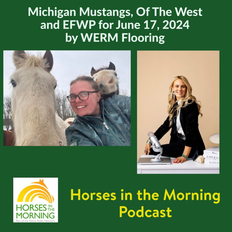 [Aggregator] Downloaded image for imported item #292808