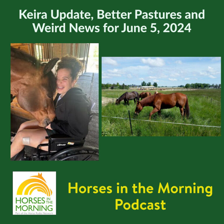 [Aggregator] Downloaded image for imported item #292816