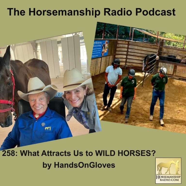 258: What Attracts Us to WILD HORSES? by HandsOnGloves
